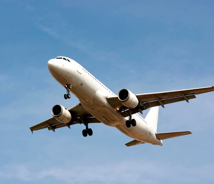 Flight Bookings Services