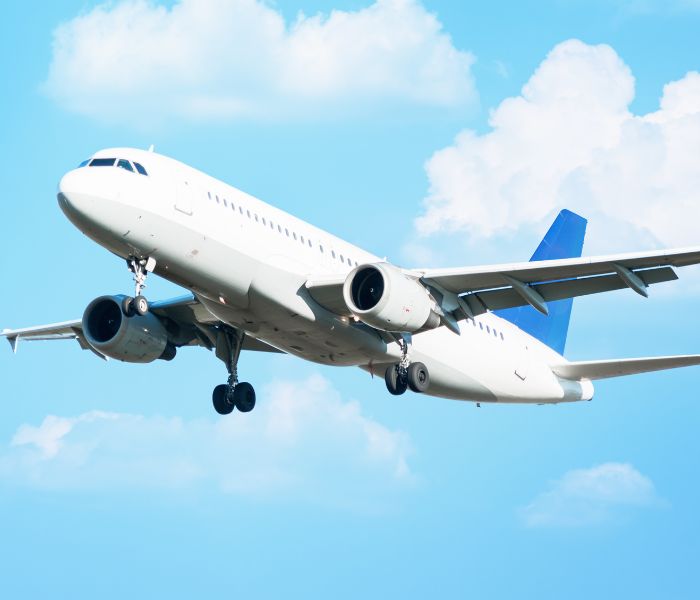 Flight Bookings Service