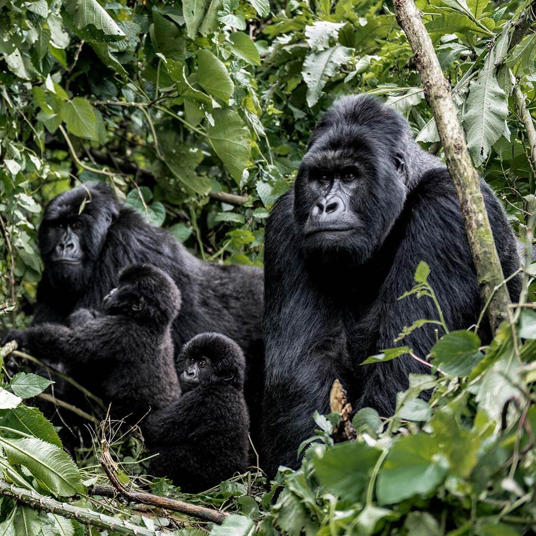 Tours & Travel Safaris 6