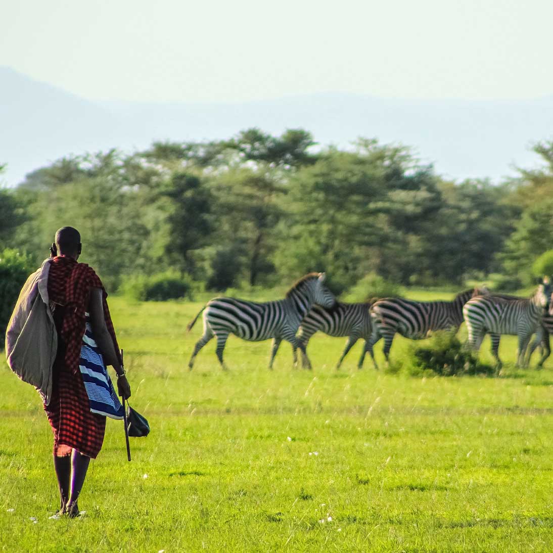 Tours & Travel Safaris 7