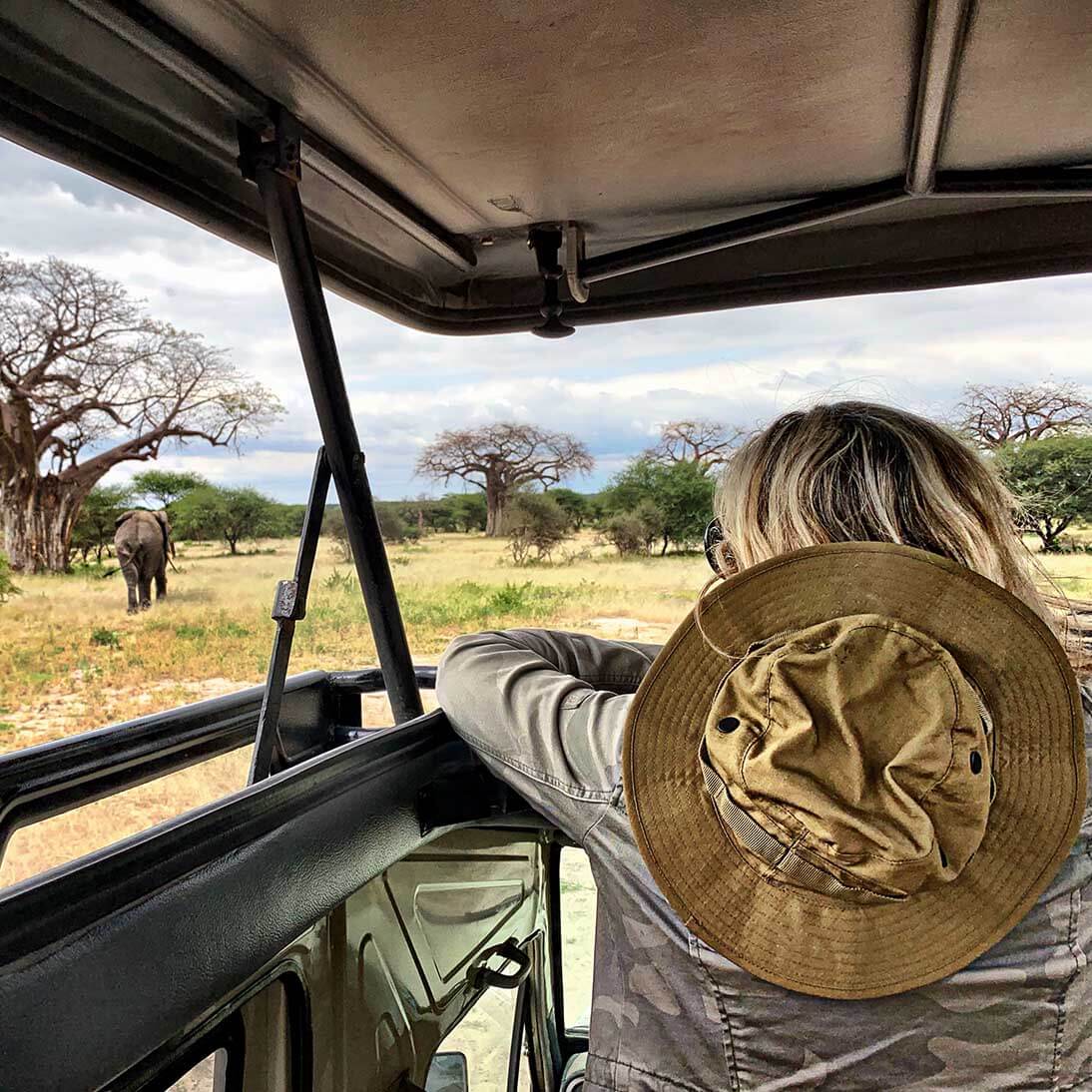 Tours & Travel Safaris 2