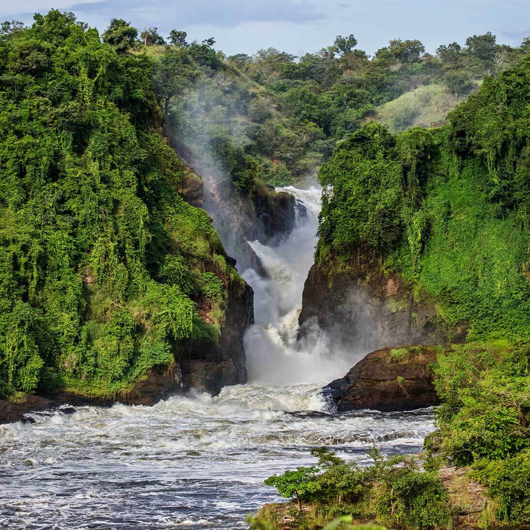 Tours & Travel Safaris 1